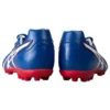 DS Light AG «Blue Red»