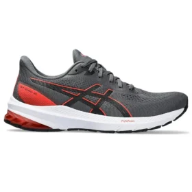 GT-1000 12 &laquo;Carrier Grey True Red&raquo;