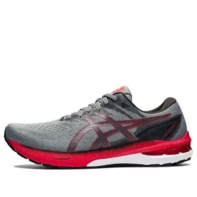 GT-2000 10 «Grey Red»