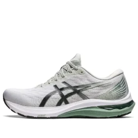 GT-2000 11 «Light Sage Black»