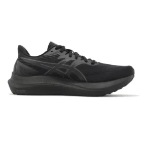 GT-2000 12 2E «Black»