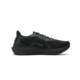 GT-2000 12 «Triple Black»