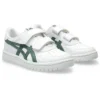 Japan S «White Ivy»
