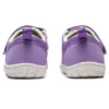 (PS) Amphibian 9 &laquo;Lavendel&raquo;